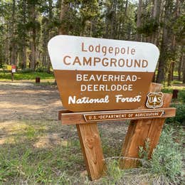 Lodgepole Campground