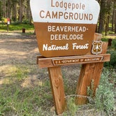 Review photo of Lodgepole Campground by Annie C., August 1, 2021