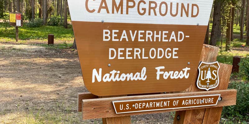 Camper submitted image from Lodgepole Campground