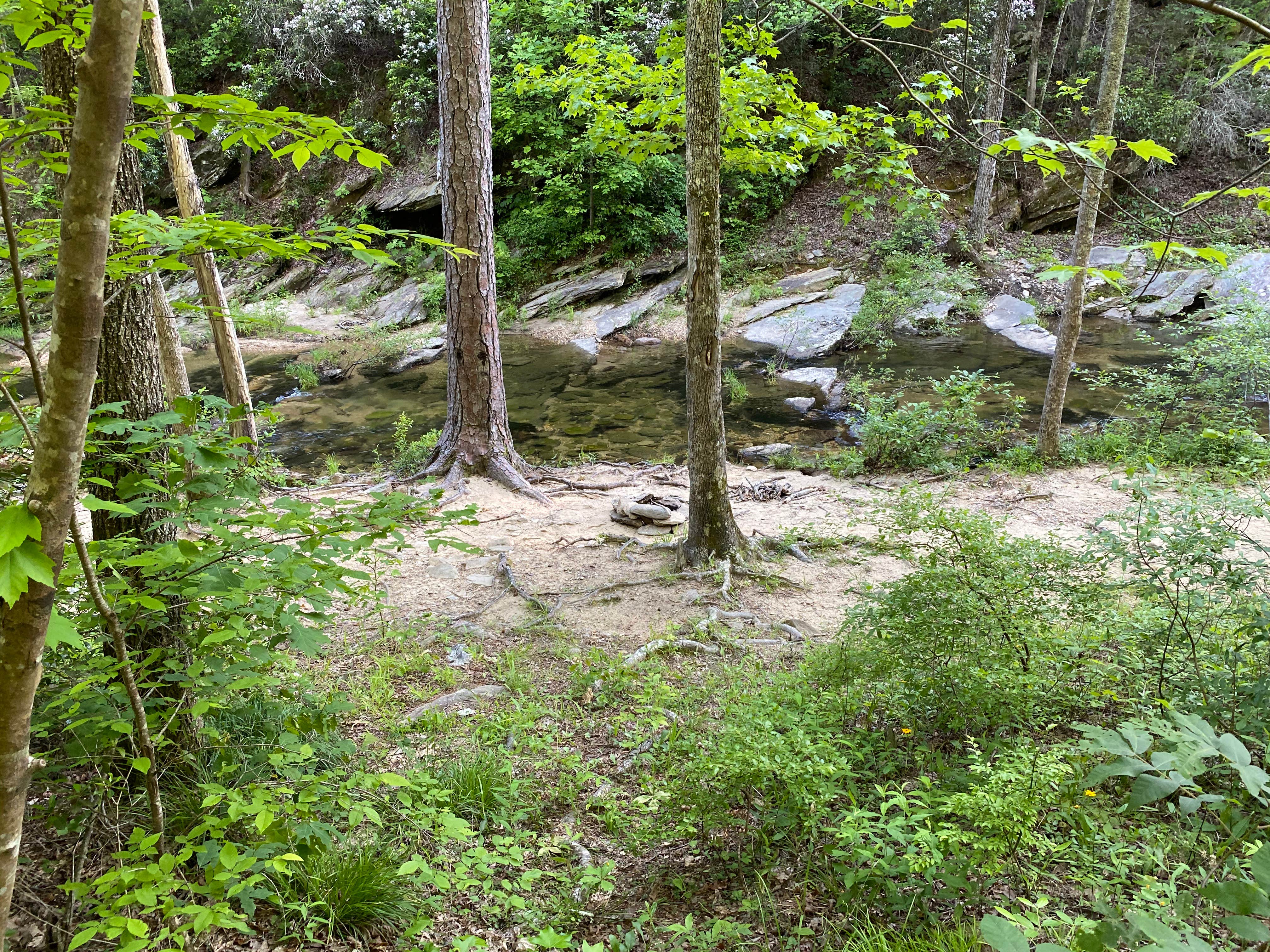Camper-submitted photo at Chinnabee Silent Trail Backcountry Site 9 near Oneonta, AL