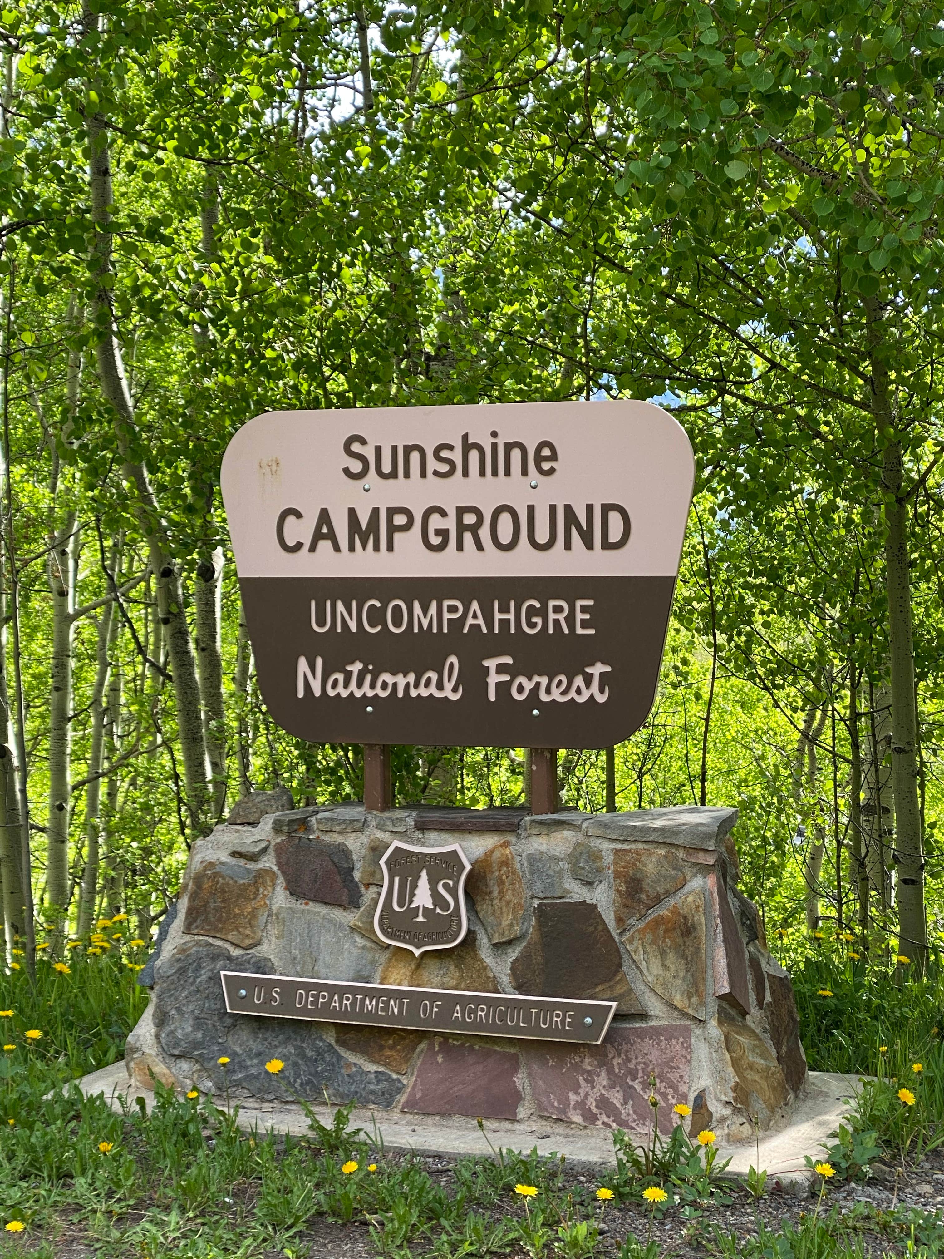 Sunshine Campground The Dyrt
