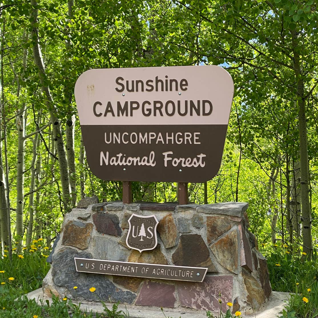 Sunshine Campground The Dyrt