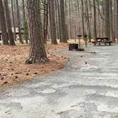 Review photo of Milburn Landing Campground by Jean C., August 1, 2021