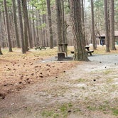 Review photo of Milburn Landing Campground by Jean C., August 1, 2021