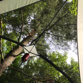 Review photo of Lake Wissota State Park Campground by Julie P., June 17, 2018