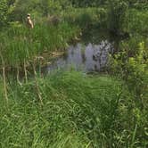 Review photo of Lake Wissota State Park Campground by Julie P., June 17, 2018