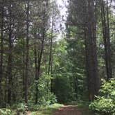 Review photo of Lake Wissota State Park Campground by Julie P., June 17, 2018