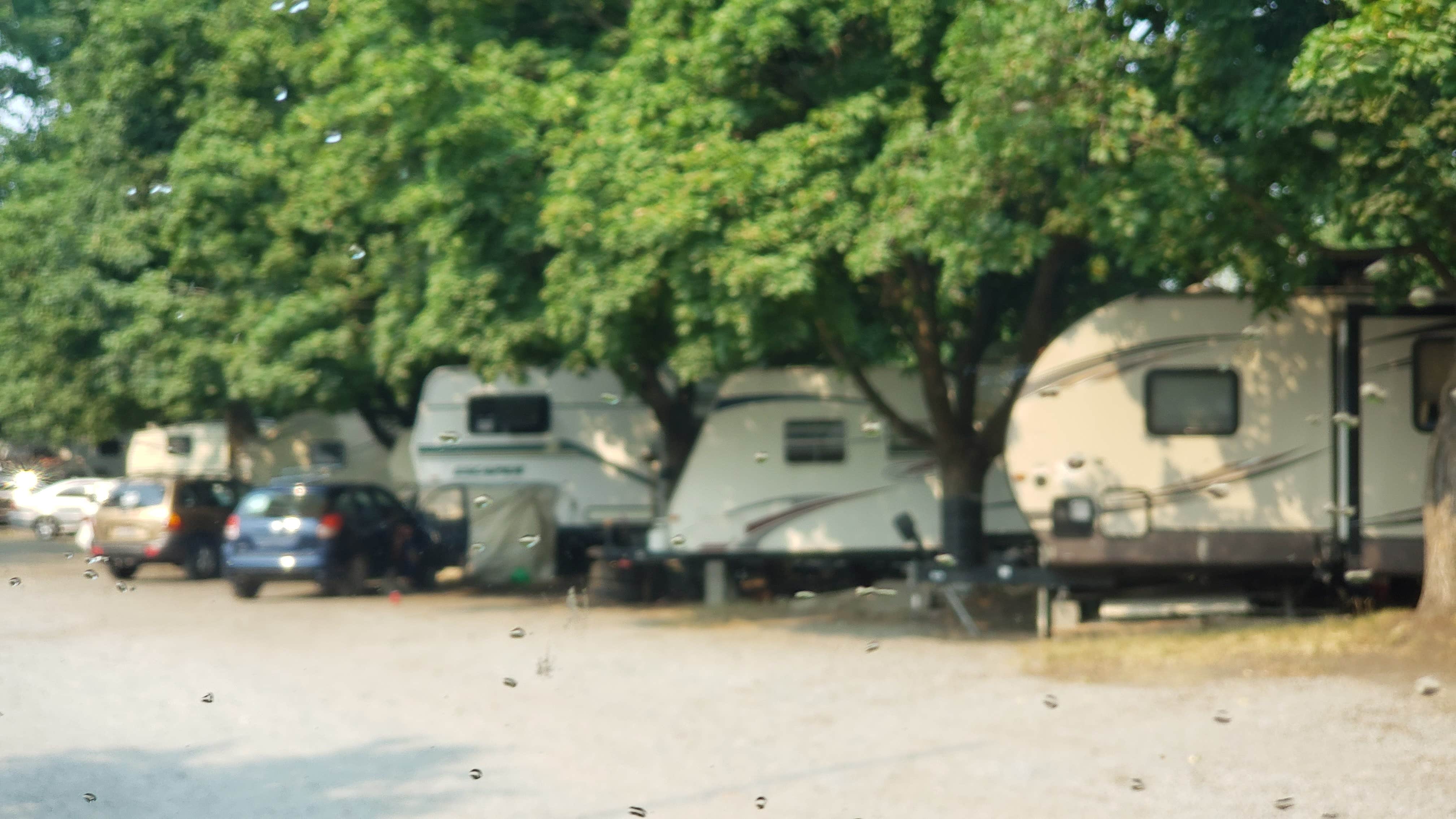 Nancy C.'s photo of rv camping at Suntree RV Park near Harrison, ID