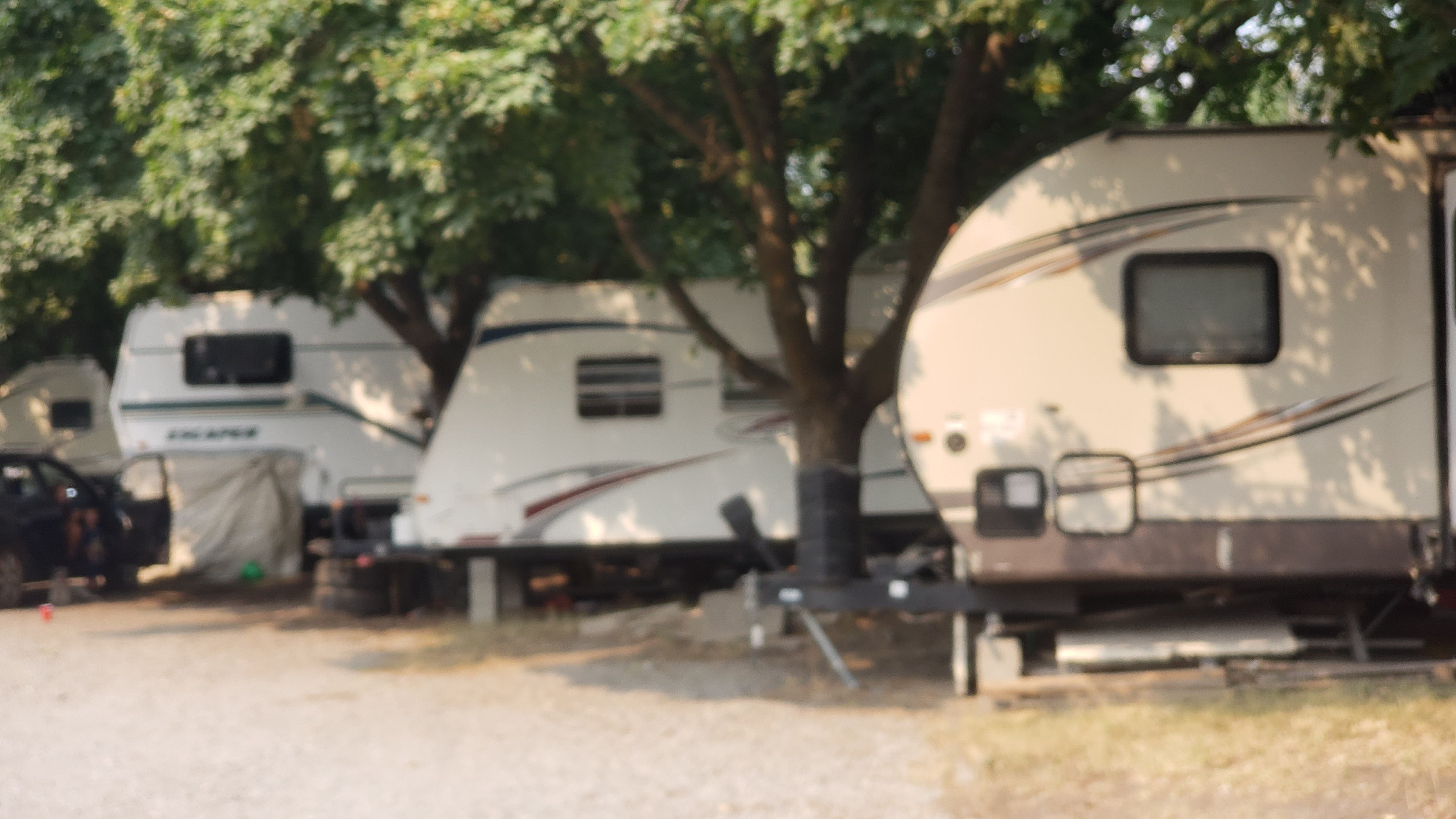 Camper submitted image from Suntree RV Park - 5