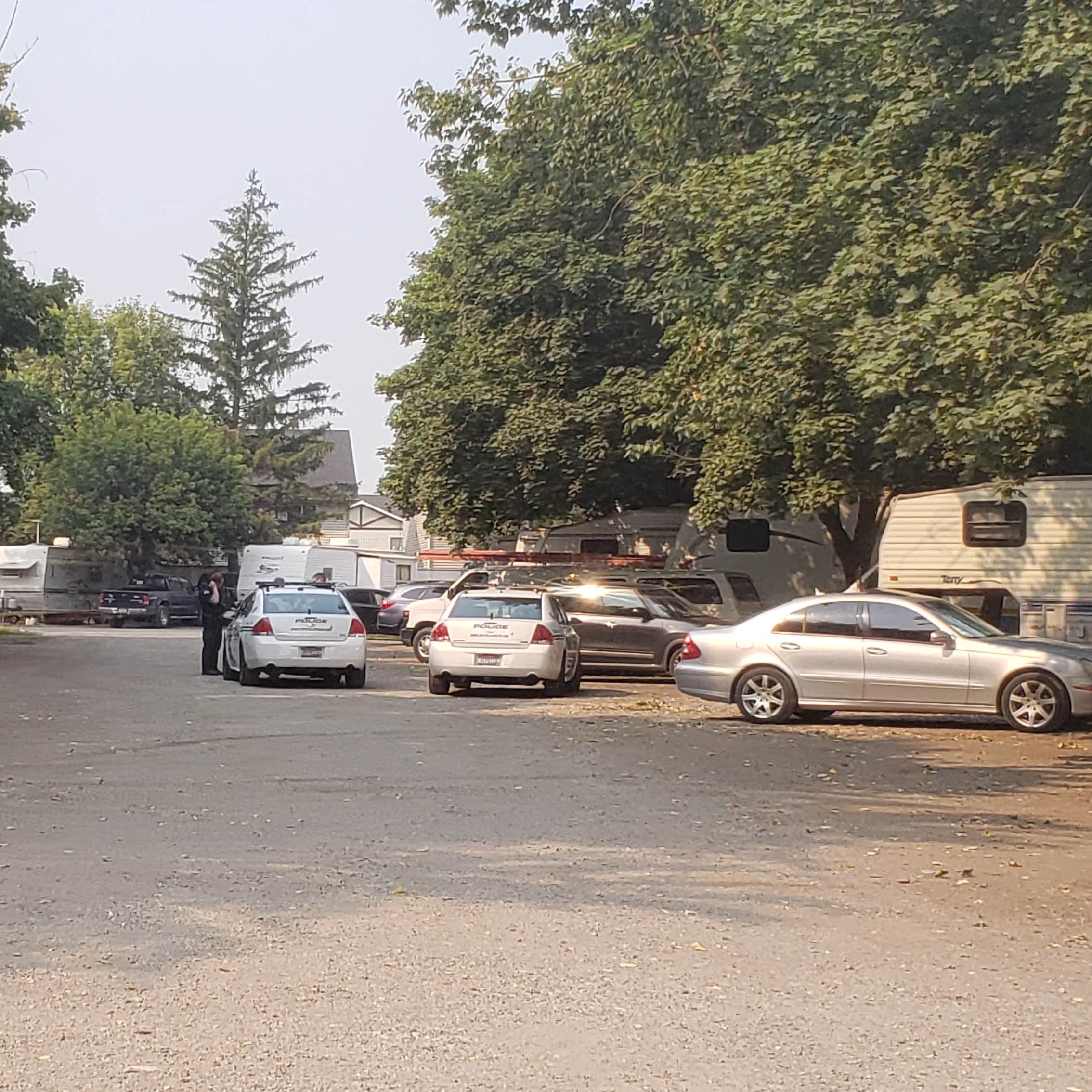 Suntree RV Park Camping The Dyrt