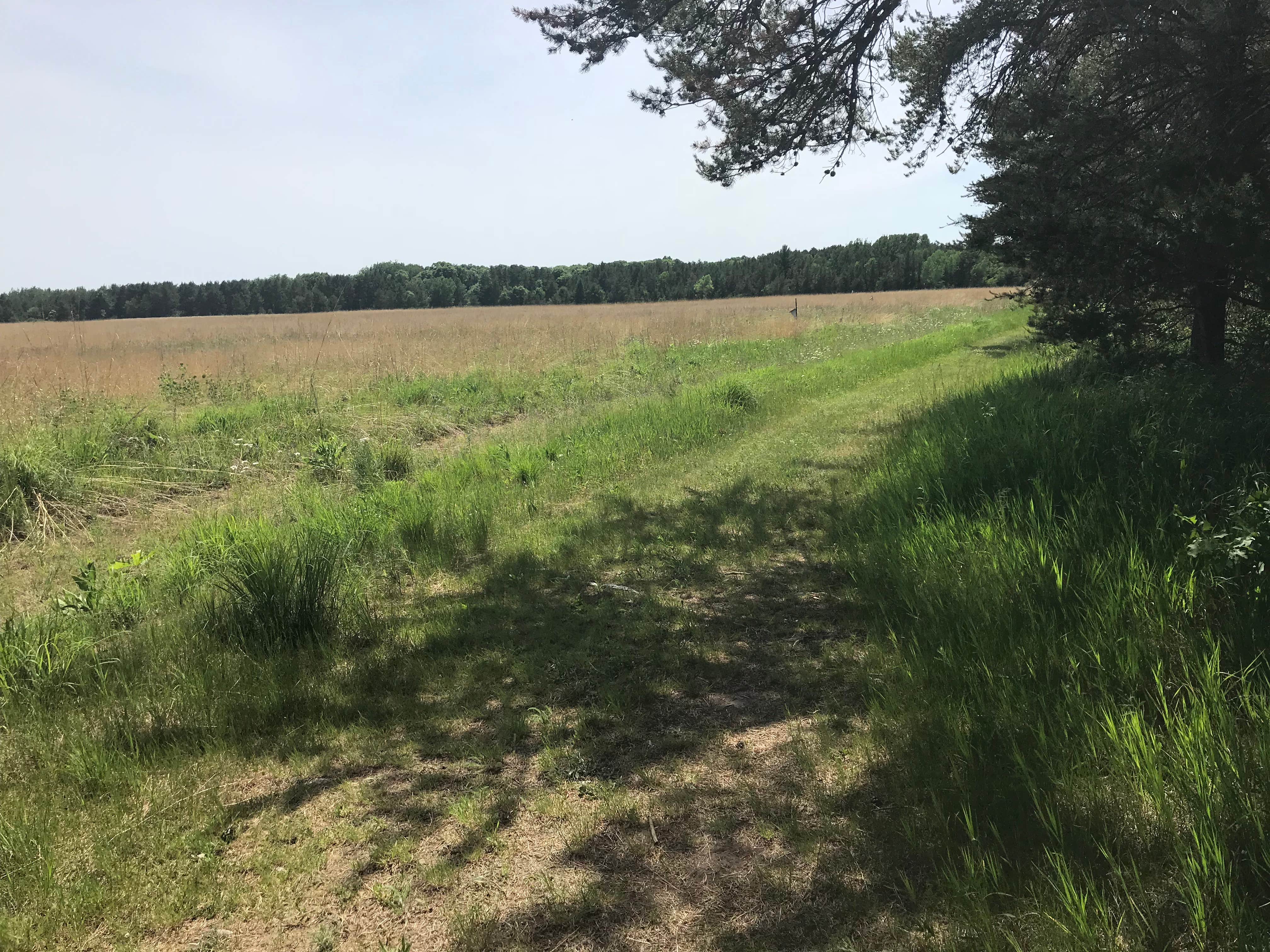 Lake Wissota State Park Campground