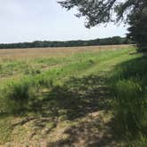 Review photo of Lake Wissota State Park Campground by Julie P., June 17, 2018