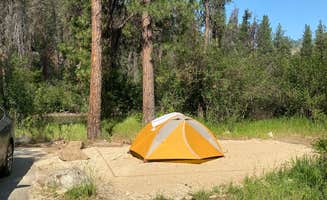 Annie C.'s photo at Mountain View Campground near Stanley, ID