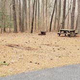 Review photo of Milburn Landing Campground by Jean C., August 1, 2021