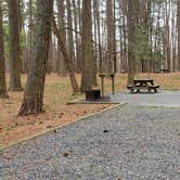 Review photo of Milburn Landing Campground by Jean C., August 1, 2021