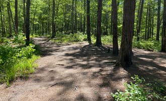 Camping near Cheaha Falls Campground: Cheaha Falls Private Backcountry Campsite, Munford, Alabama