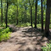 Review photo of Cheaha Falls Private Backcountry Campsite by Asher K., August 1, 2021