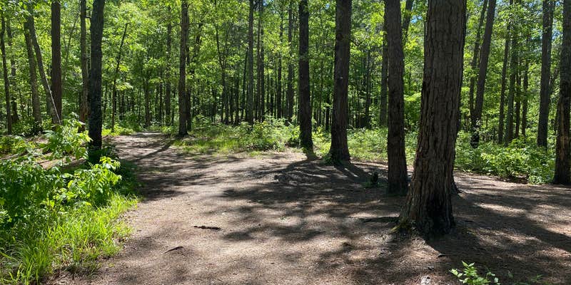 Camper submitted image from Cheaha Falls Private Backcountry Campsite