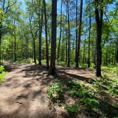 Review photo of Cheaha Falls Private Backcountry Campsite by Asher K., August 1, 2021