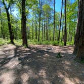 Review photo of Cheaha Falls Private Backcountry Campsite by Asher K., August 1, 2021