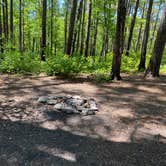 Review photo of Cheaha Falls Private Backcountry Campsite by Asher K., August 1, 2021