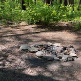 Review photo of Cheaha Falls Private Backcountry Campsite by Asher K., August 1, 2021