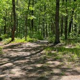 Review photo of Cheaha Falls Private Backcountry Campsite by Asher K., August 1, 2021