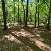 Review photo of Cheaha Falls Campground by Asher K., August 1, 2021