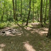 Review photo of Cheaha Falls Campground by Asher K., August 1, 2021