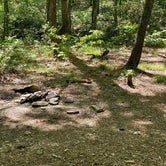 Review photo of Cheaha Falls Campground by Asher K., August 1, 2021