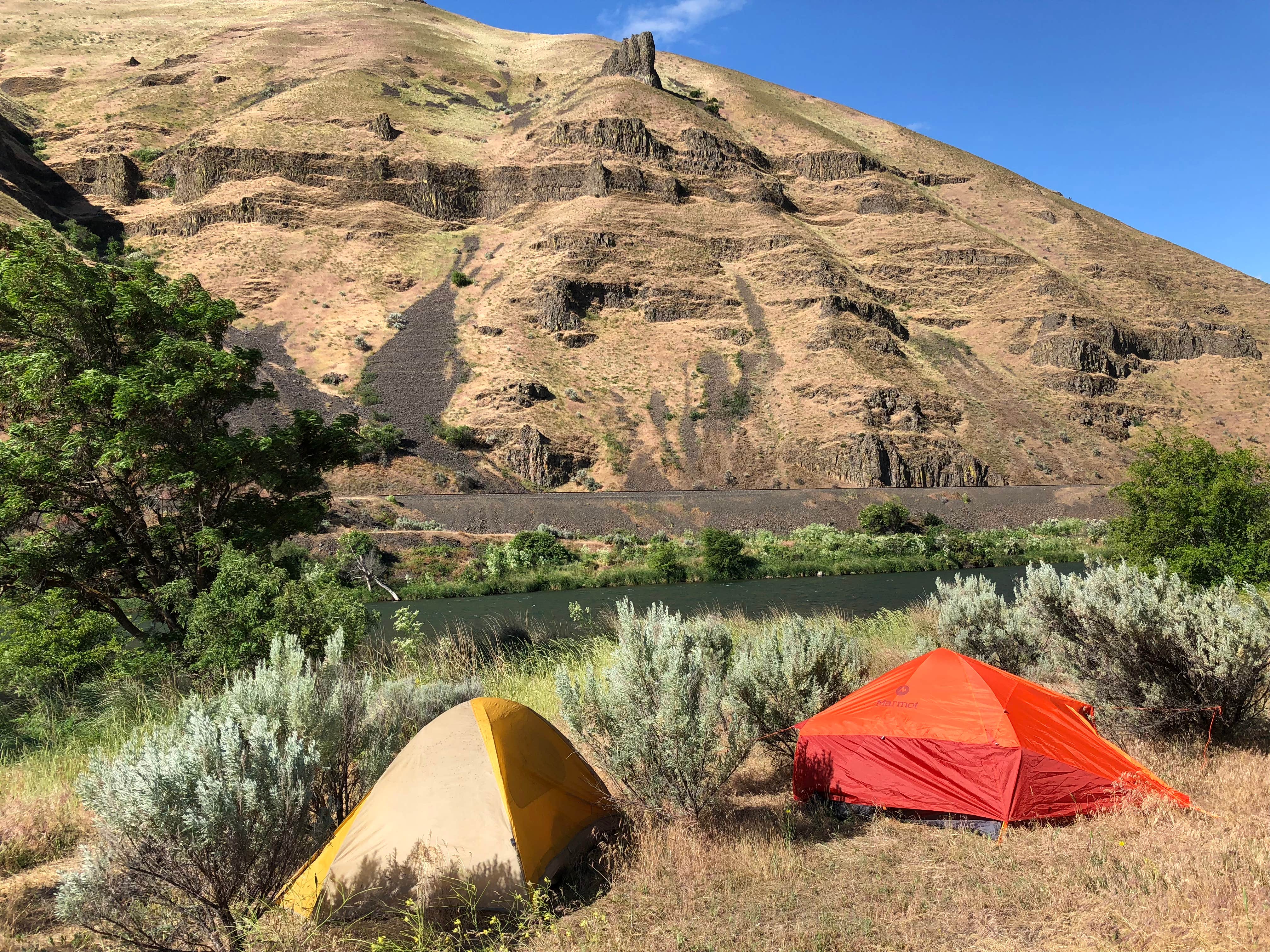 Camper submitted image from Hike in from Lower Deschutes State Rec Area - 5