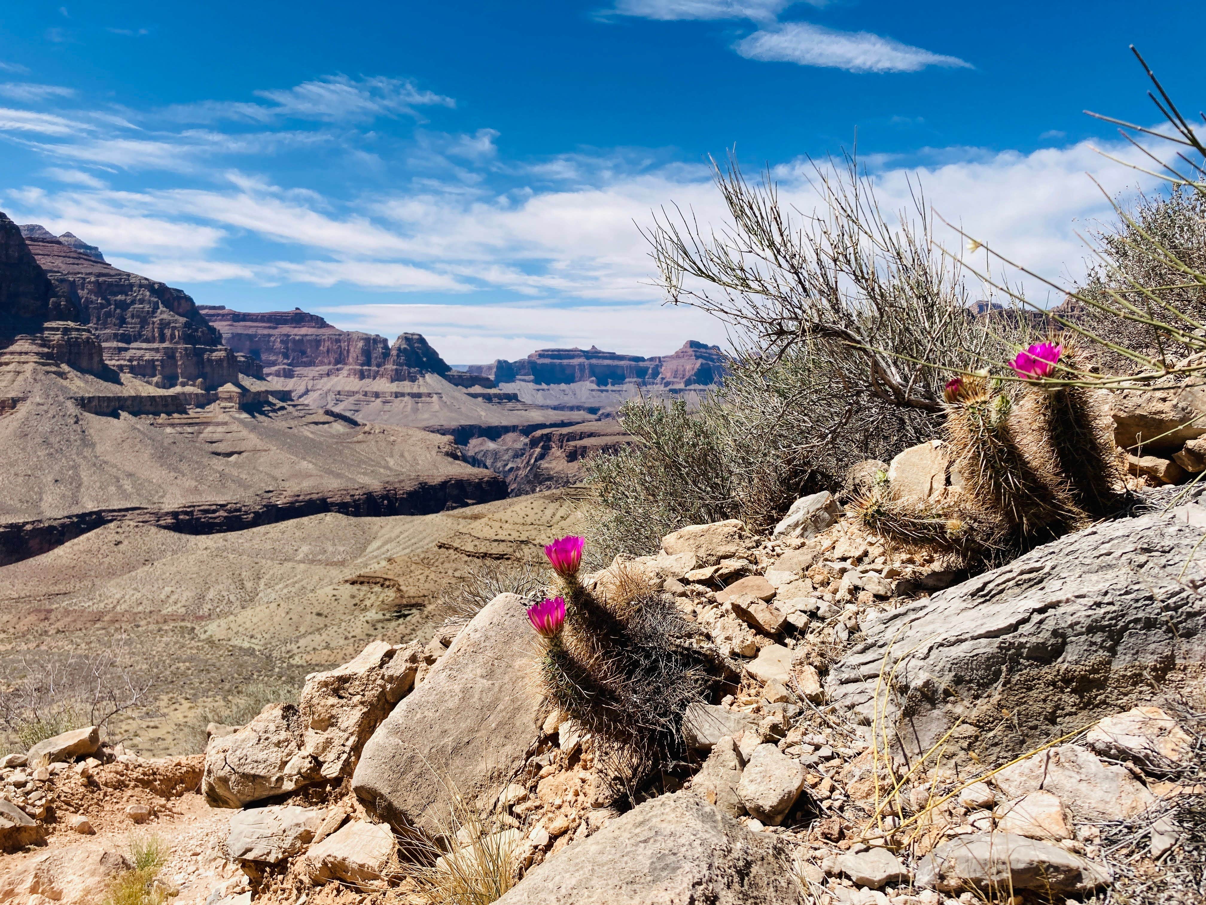 Camper-submitted photo at Hermit Rapids near Grand Canyon, AZ