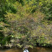 Review photo of Lake Lurleen State Park Campground by Asher K., August 1, 2021