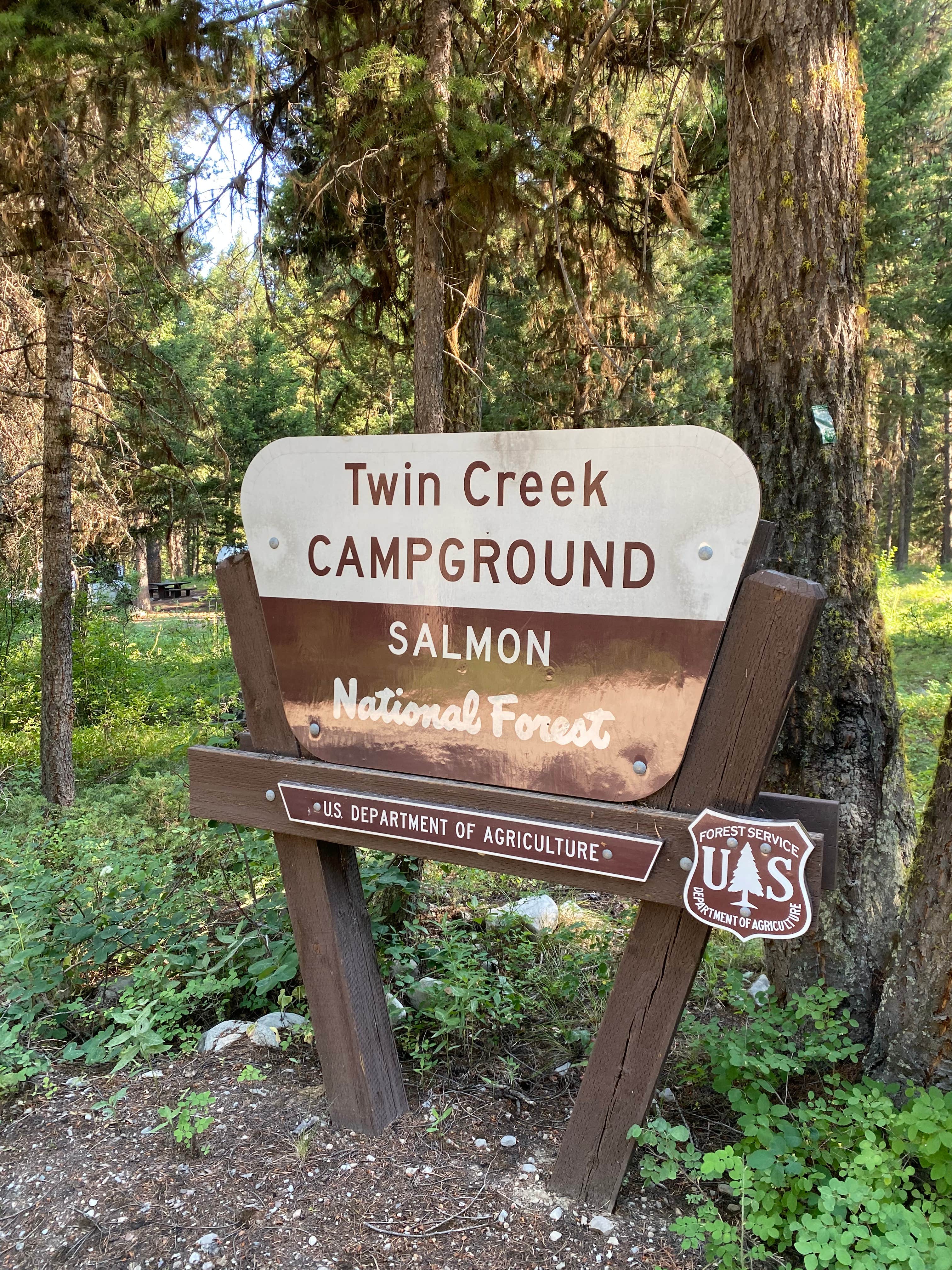Camping near Alta Campground: Twin Creek Campground, Gibbonsville, Idaho
