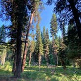 Review photo of Twin Creek Campground by Annie C., August 1, 2021