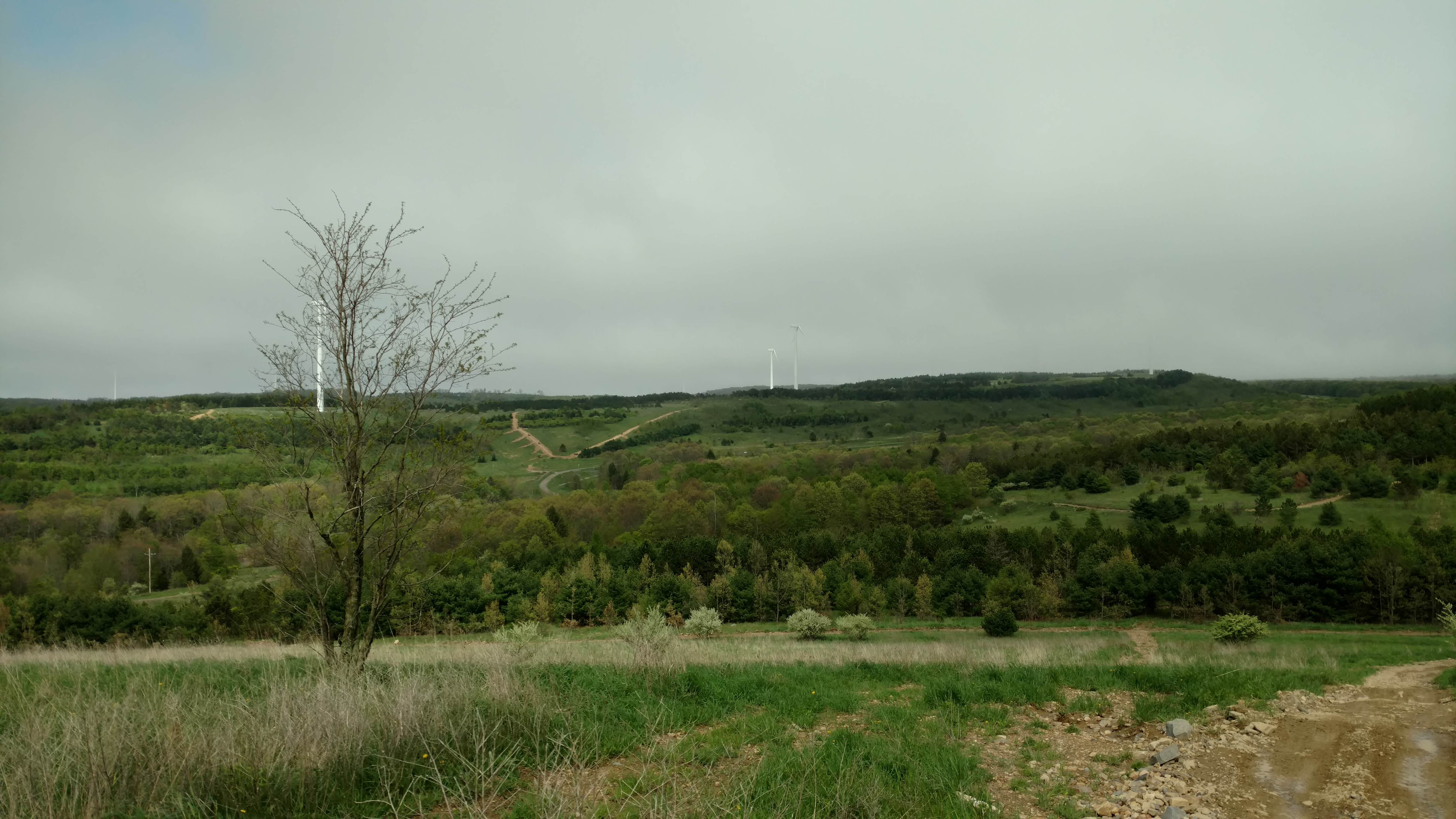 Camping near Coal Tubin': Mountain Ridge, Stoystown, Pennsylvania