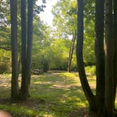 Review photo of Persimmon Creek RV Park by Asher K., August 1, 2021