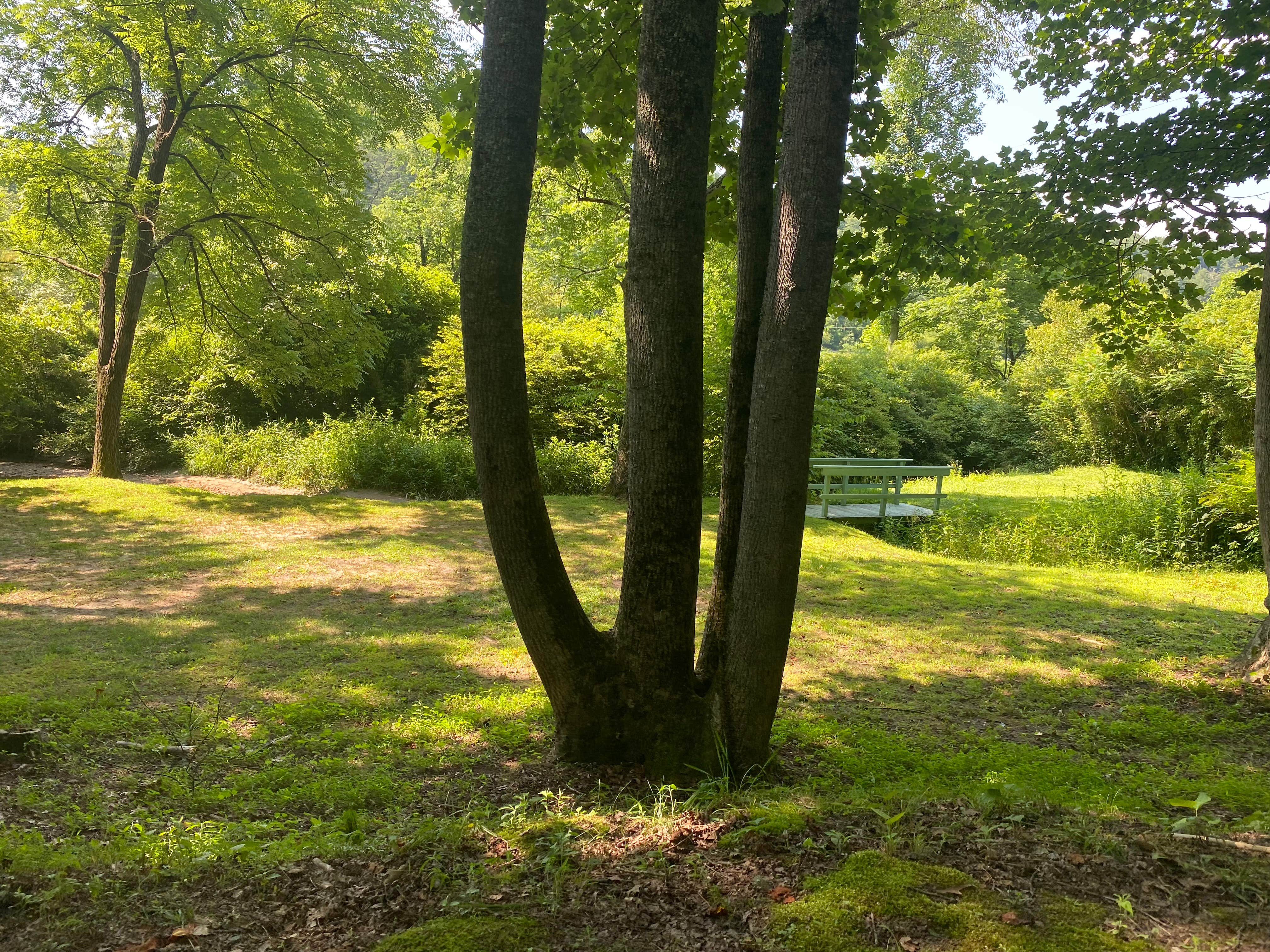 Camper submitted image from Persimmon Creek RV Park - 3