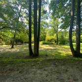 Review photo of Persimmon Creek RV Park by Asher K., August 1, 2021