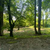Review photo of Persimmon Creek RV Park by Asher K., August 1, 2021
