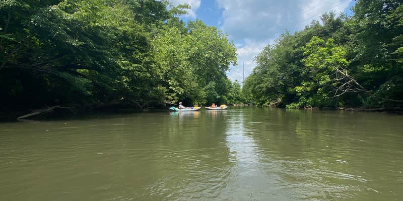 Camper submitted image from Great Smoky Mountain Fish Camp and Safaris Campground