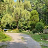 Review photo of Great Smoky Mountain Fish Camp and Safaris Campground by Asher K., August 1, 2021