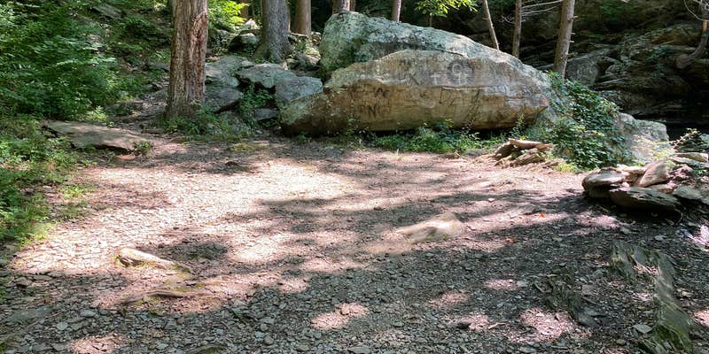 Camper submitted image from Goforth Creek Campground A