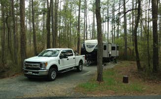 James P.'s photo at Point Lookout State Park - Temporarily Closed in Maryland