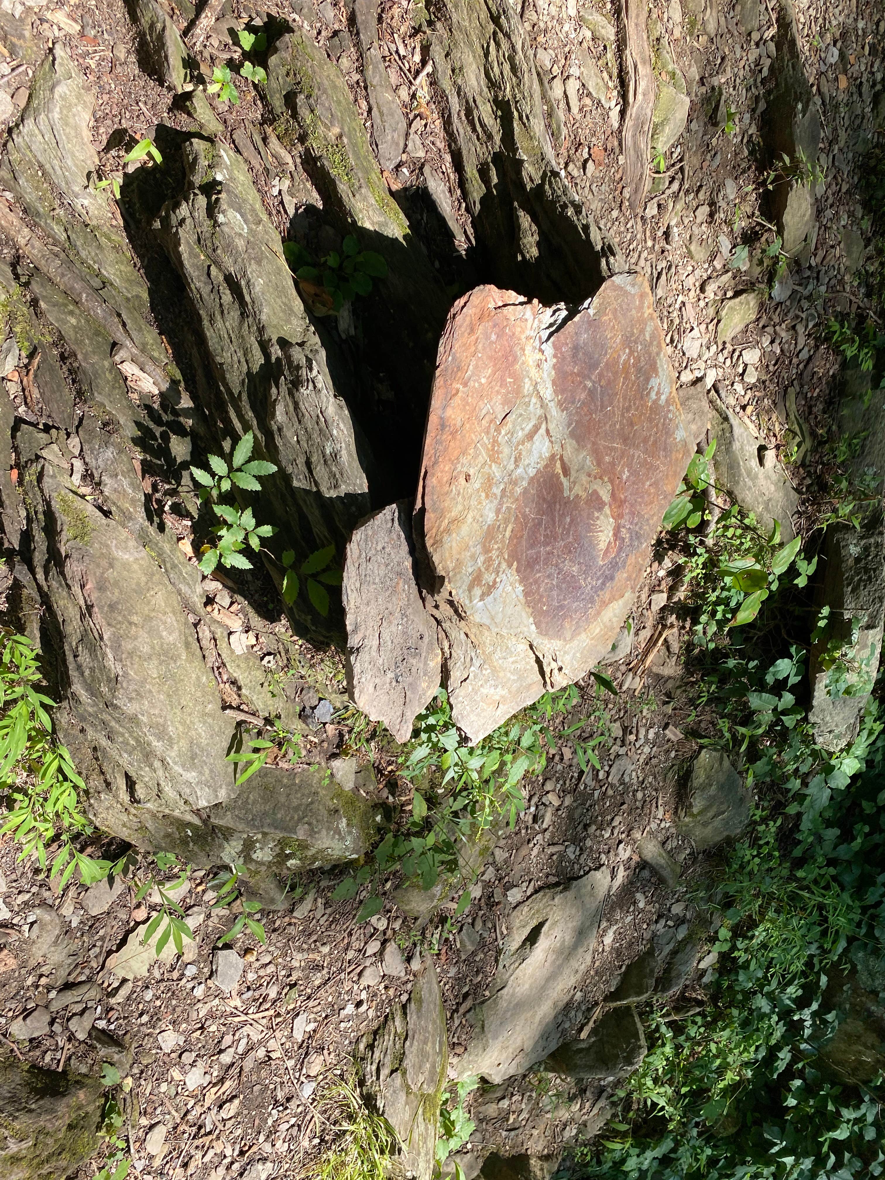 Camper-submitted photo at Goforth Creek Campground A near Reliance, TN