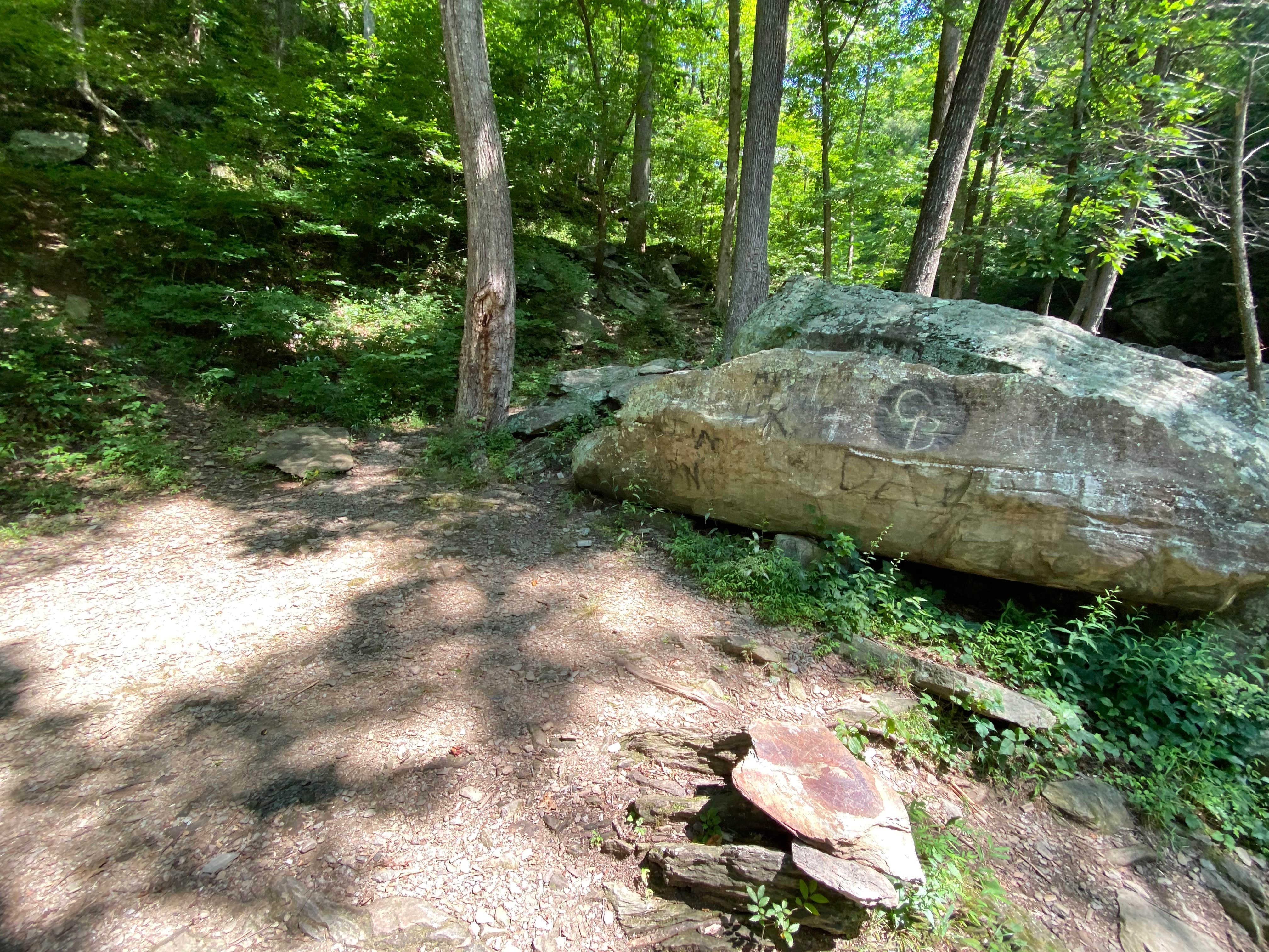 Camper submitted image from Goforth Creek Campground A - 5