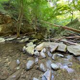 Review photo of Goforth Creek Campground A by Asher K., August 1, 2021