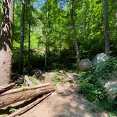 Review photo of Goforth Creek Campground A by Asher K., August 1, 2021