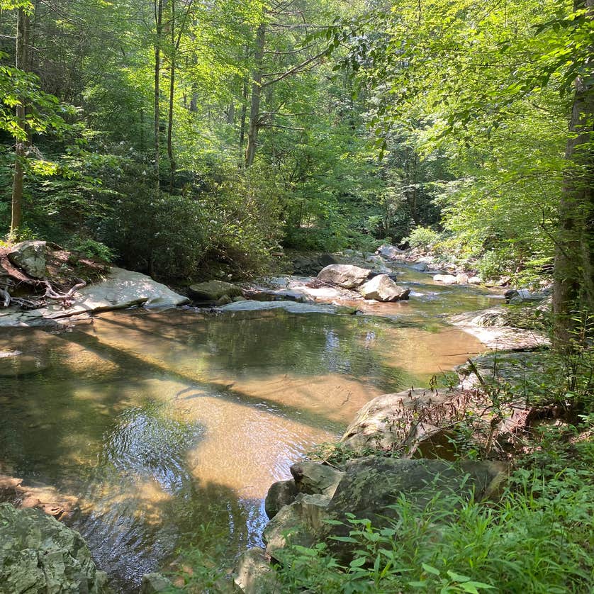 Goforth Creek Campground B | Reliance, TN