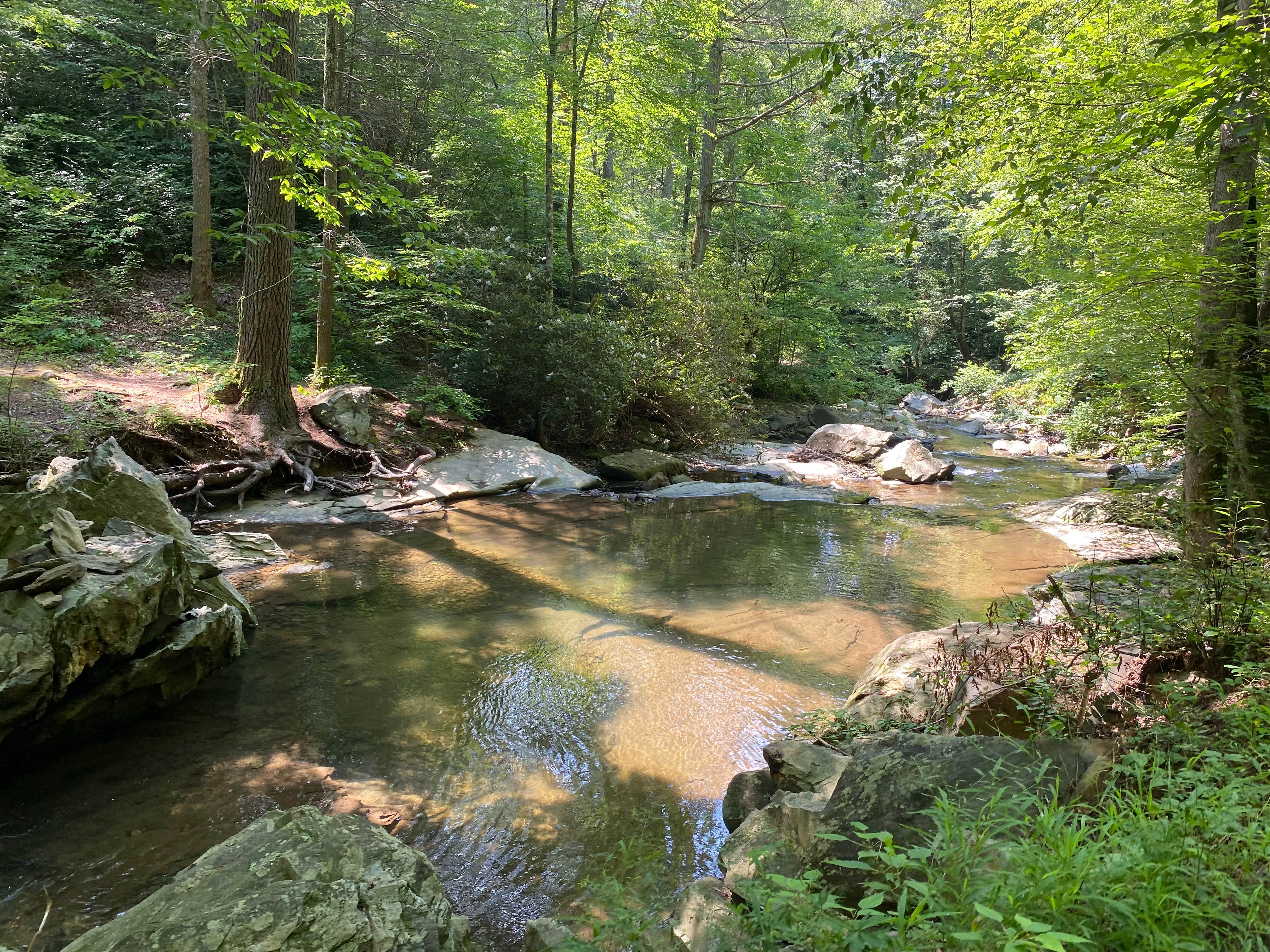 Camper submitted image from Goforth Creek Campground B - 1